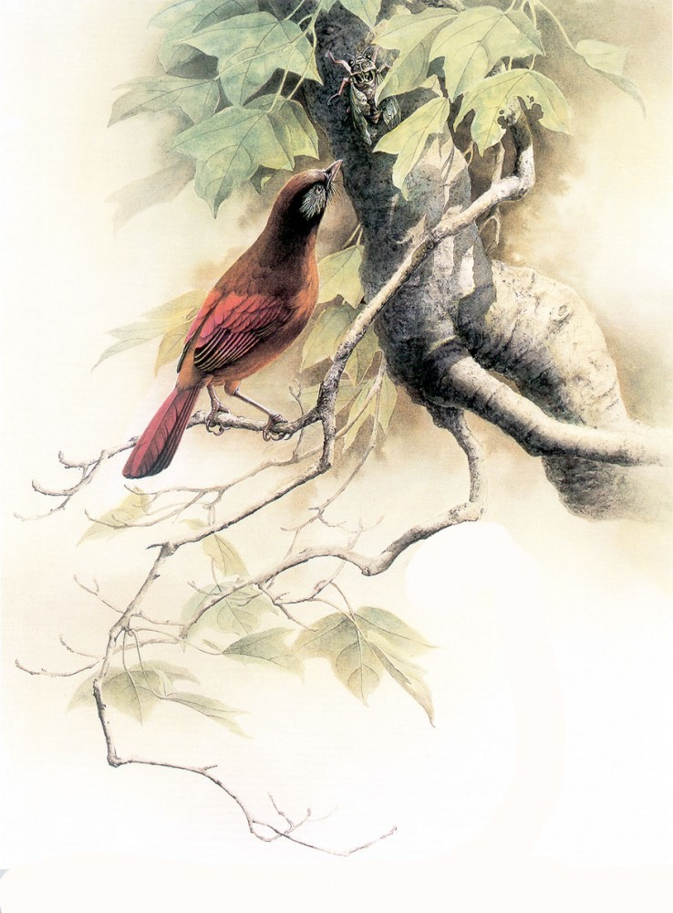 Birds Art Painting (3)